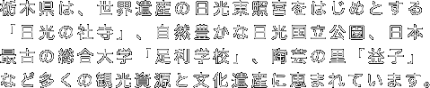 栃木県は、世界遺産の日光東照宮をはじめとする「日光の社寺」、自然豊かな日光国立公園、日本最古の総合大学「足利学校」、陶芸の里「益子」など多くの観光資源と文化遺産に恵まれています。